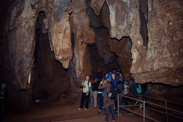 nbpa south africa cradle of humankind